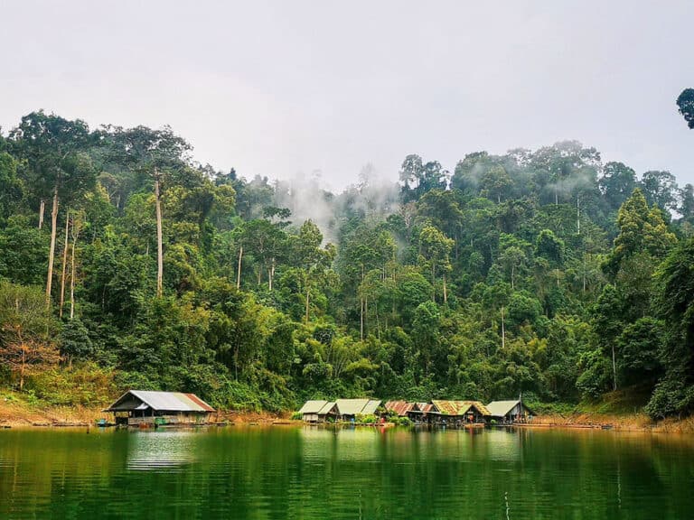 How To Visit Khao Sok National Park, Thailand - A Complete Guide (2023 