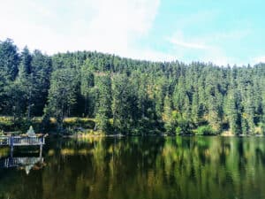 Mummsellsee Lake. Thick green fir trees surround the edge of the small lake, the rich colour reflected in the water. At the edge of the lake is a small pier.