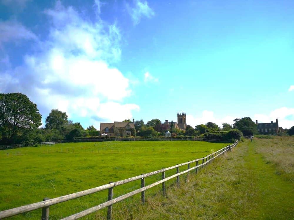 A field with a wooden fence running through the centre. A church tower can be seen rising from the trees in the background.